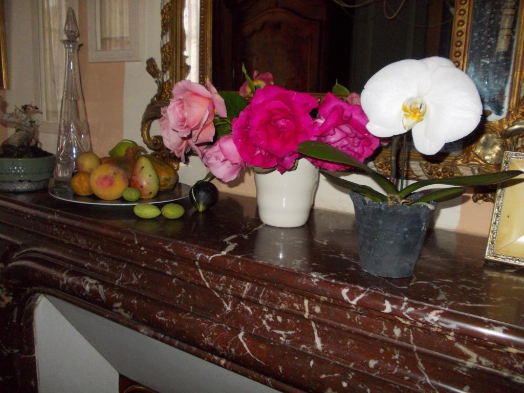 B&B Maison Gaudin Κονιάκ Εξωτερικό φωτογραφία